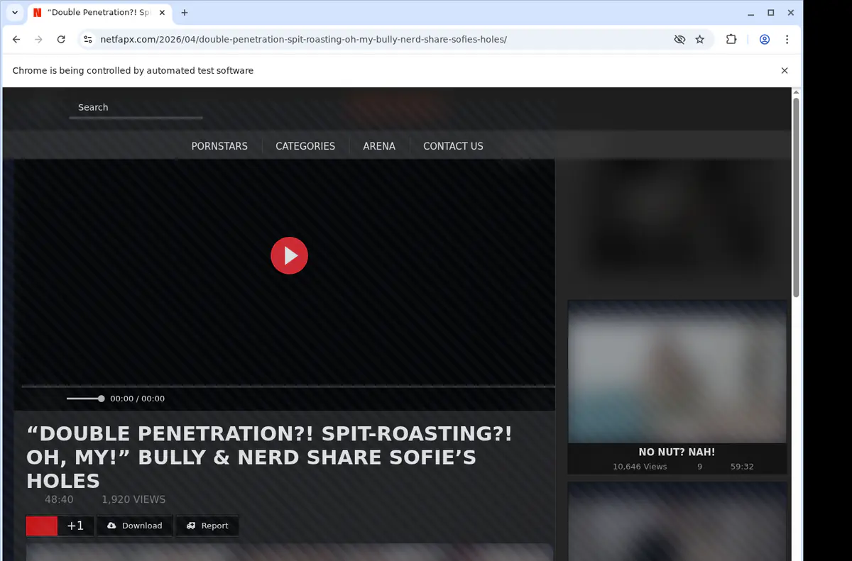 Netfapx Video Downloader screenshot 2