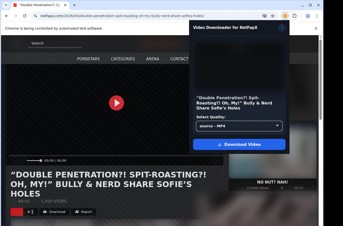 Netfapx Video Downloader screenshot 3